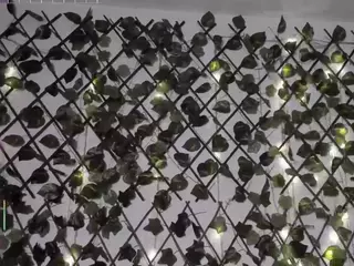 Coralinesanchez's Live Sex Cam Show