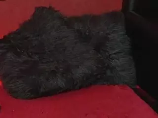 Alissa's Live Sex Cam Show