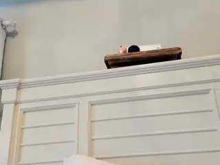 candyPlanet's Live Sex Cam Show