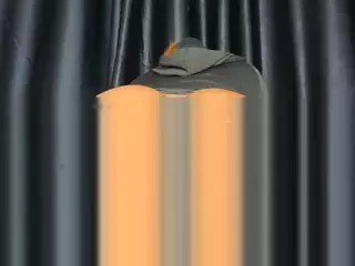 Assiology's Live Sex Cam Show