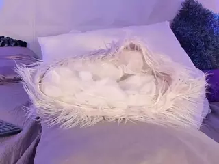 KiimLee's Live Sex Cam Show