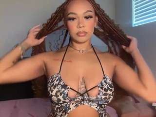 Jazz The Stallion