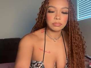 Jazz The Stallion