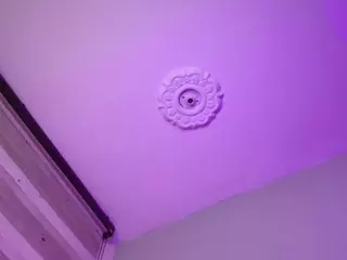 SheryLee's Live Sex Cam Show