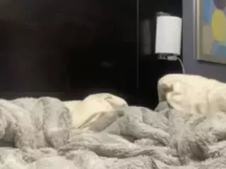 Rubi Vixxen's Live Sex Cam Show