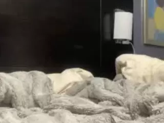 Rubi Vixxen's Live Sex Cam Show