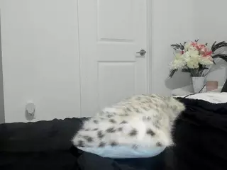Alexis Wylde's Live Sex Cam Show