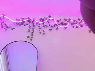 Venus's Live Sex Cam Show
