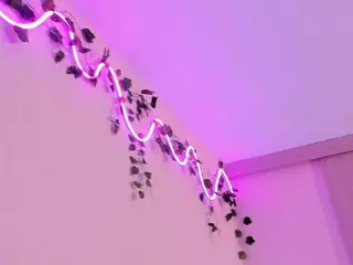 Venus's Live Sex Cam Show