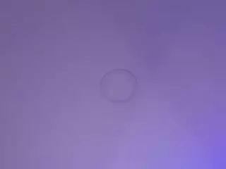 Habiy069's Live Sex Cam Show