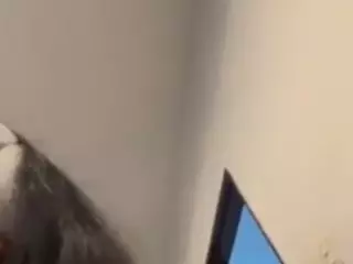 nerdgirl314's Live Sex Cam Show