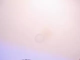 maddy-brooks's Live Sex Cam Show
