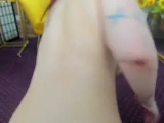 AishaRouhi's Live Sex Cam Show