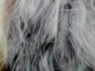 AishaRouhi's Live Sex Cam Show