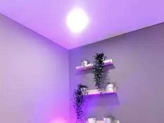 Aria Russo's Live Sex Cam Show