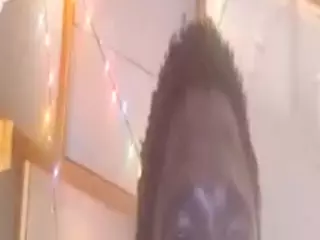 bigreddho's Live Sex Cam Show