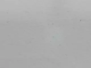 JenniferMoonlight's Live Sex Cam Show