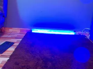 Jade Brunnette's Live Sex Cam Show