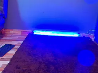 Jade Brunnette's Live Sex Cam Show