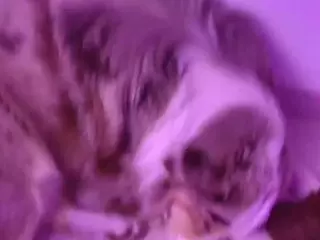 LAYLA NAUGHTY GIRL's Live Sex Cam Show