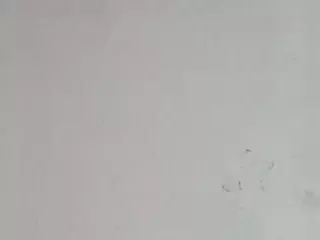 this a slimy pussy's Live Sex Cam Show