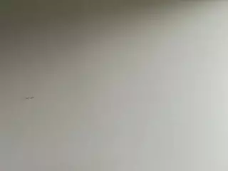 this a slimy pussy's Live Sex Cam Show