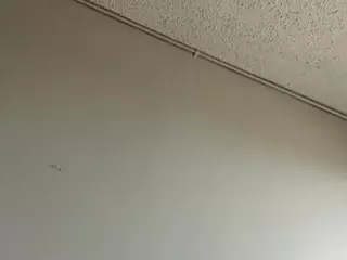 this a slimy pussy's Live Sex Cam Show
