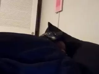 colors pay for fake hoes's Live Sex Cam Show