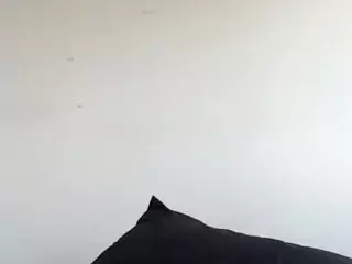 colors pay for fake hoes's Live Sex Cam Show