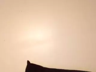 colors pay for fake hoes's Live Sex Cam Show