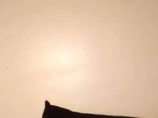 colors pay for fake hoes's Live Sex Cam Show