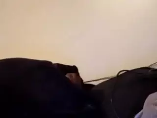 BLACK PUSSYS MATTERS's Live Sex Cam Show