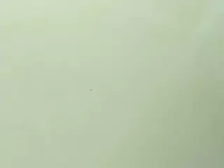 Mia Quevedo's Live Sex Cam Show