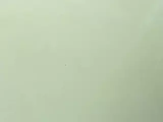 Mia Quevedo's Live Sex Cam Show