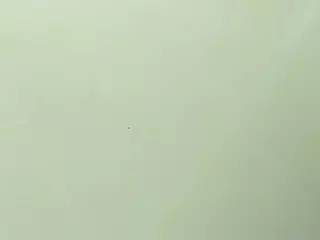 Mia Quevedo's Live Sex Cam Show