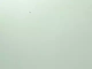 Mia Quevedo's Live Sex Cam Show