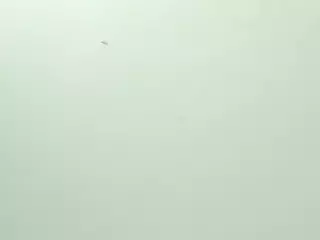 Mia Quevedo's Live Sex Cam Show