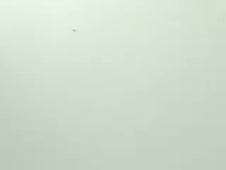 Mia Quevedo's Live Sex Cam Show