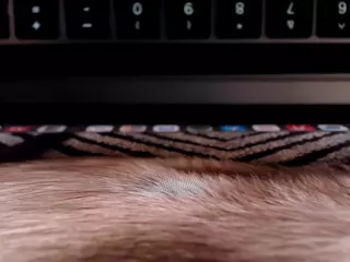 Phoenix Riley's Live Sex Cam Show