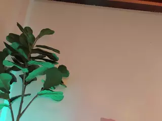 Nicole's Live Sex Cam Show