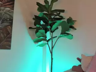 Nicole's Live Sex Cam Show