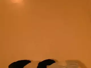 sofiassko's Live Sex Cam Show