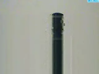 MonicaApple's Live Sex Cam Show