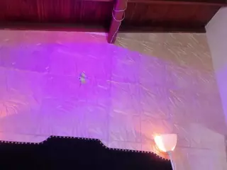 sofii-carter's Live Sex Cam Show