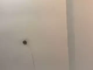 nessadoll69's Live Sex Cam Show