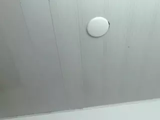 sophiieelee's Live Sex Cam Show