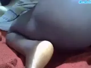 Cute-tara's Live Sex Cam Show