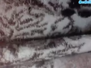 swirrygal's Live Sex Cam Show