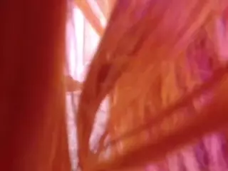 Midnightrose11's Live Sex Cam Show