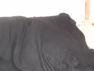 Queen-bree's Live Sex Cam Show